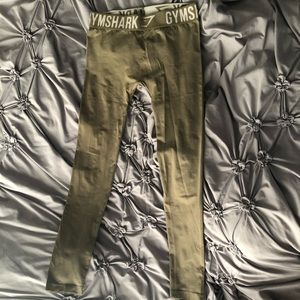 Gym shark Leggings